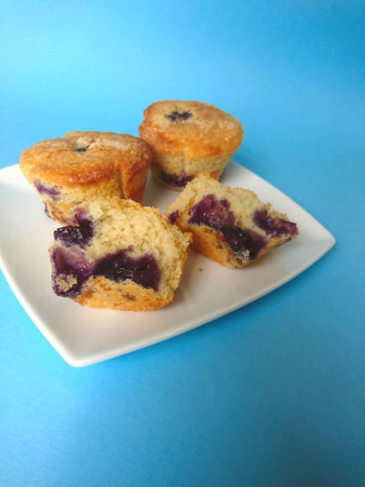 Vegan Blueberry Muffins